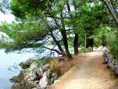 Rajski put - Malinska